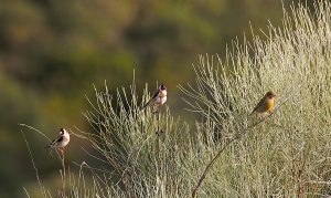 IMG_2089