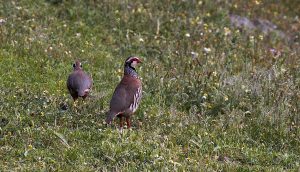 IMG_2224
